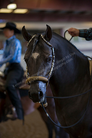 AHANC_Show18_ThursAM_0085
