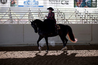 Class 3 HA/AA Ladies Side Saddle Horses Open