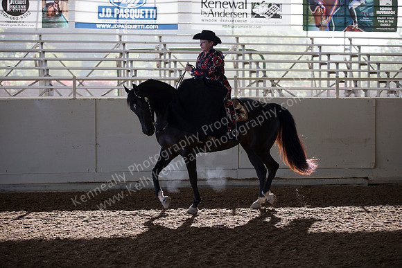AHANC_Show18_ThursAM_0094