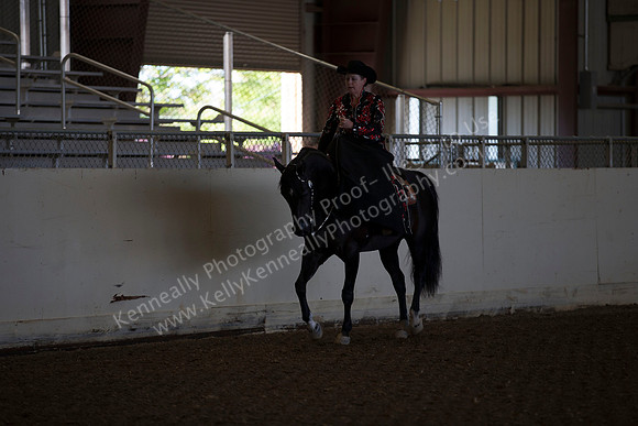 AHANC_Show18_ThursAM_0096