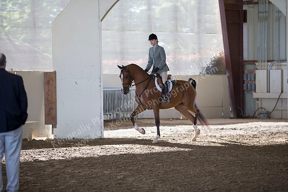 AHANC_Show18_ThursAM_0108