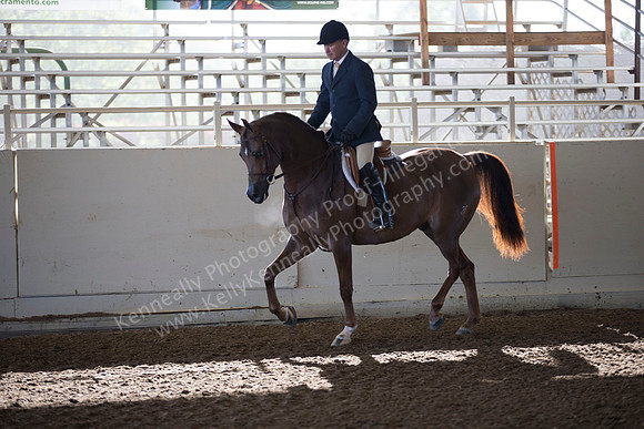 AHANC_Show18_ThursAM_0106