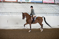 AHANC_Show18_ThursAM_0113