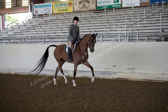 AHANC_Show18_ThursAM_0115