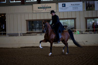 Class 5 Arabian English Pleasure Jr Horses