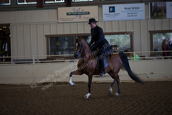 AHANC_Show18_ThursAM_0122