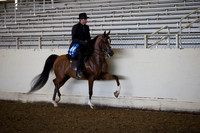 AHANC_Show18_ThursAM_0129