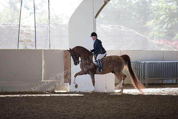 AHANC_Show18_ThursAM_0135
