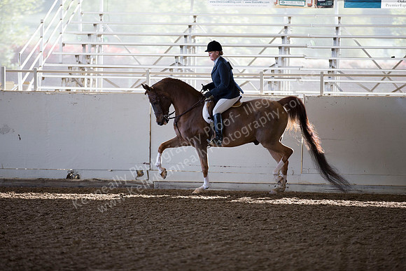 AHANC_Show18_ThursAM_0137