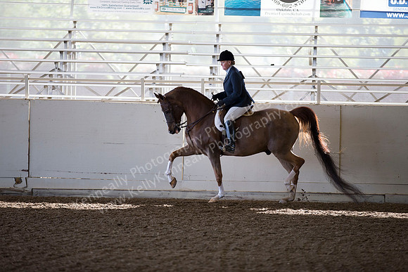 AHANC_Show18_ThursAM_0136