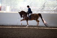 AHANC_Show18_ThursAM_0138