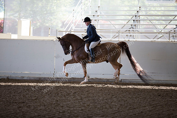 AHANC_Show18_ThursAM_0138