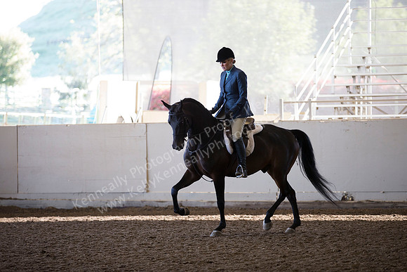 AHANC_Show18_ThursAM_0141