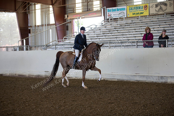 AHANC_Show18_ThursAM_0152