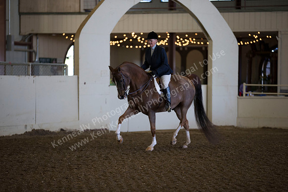 AHANC_Show18_ThursAM_0157