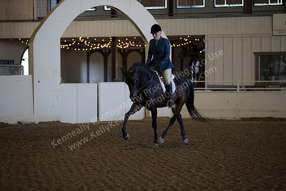AHANC_Show18_ThursAM_0158