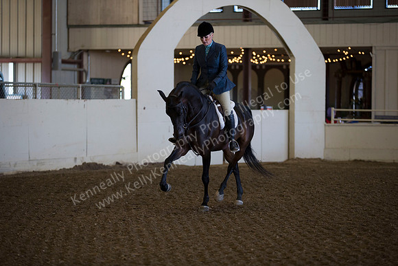 AHANC_Show18_ThursAM_0159