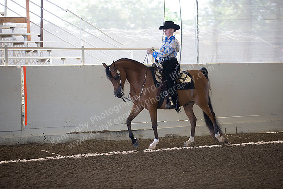 AHANC_Show18_ThursAM_0177