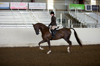 AHANC_Show18_ThursAM_0201