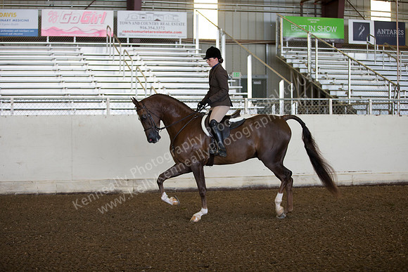 AHANC_Show18_ThursAM_0201
