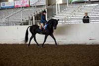 AHANC_Show18_ThursAM_0205