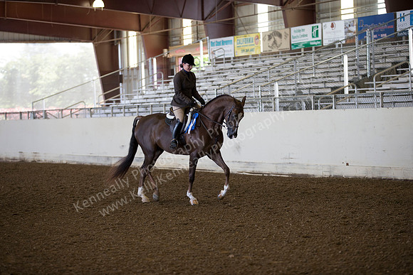 AHANC_Show18_ThursAM_0208