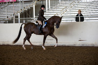 AHANC_Show18_ThursAM_0211