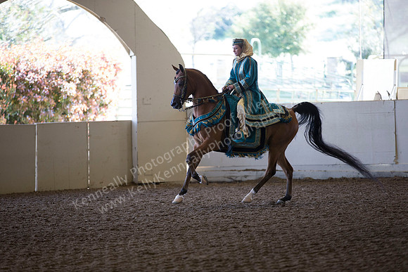AHANC_Show18_ThursAM_0214