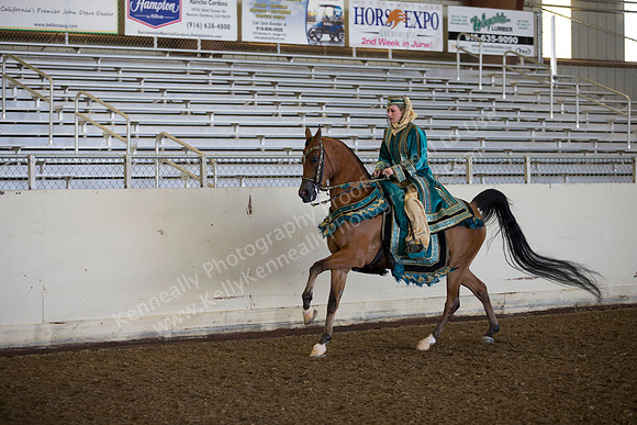AHANC_Show18_ThursAM_0217
