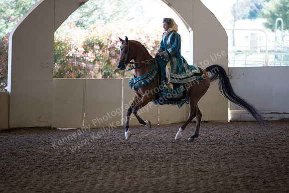 AHANC_Show18_ThursAM_0215
