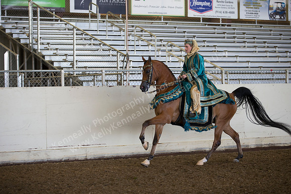 AHANC_Show18_ThursAM_0218