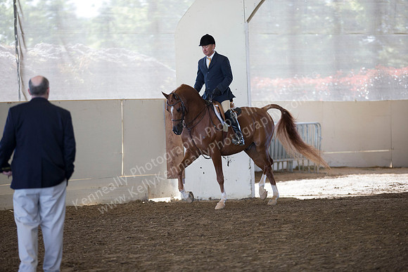 AHANC_Show18_ThursAM_0232