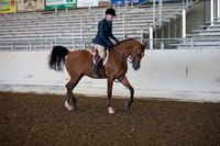 AHANC_Show18_ThursAM_0242