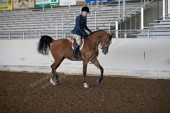 AHANC_Show18_ThursAM_0242