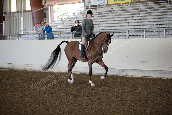 AHANC_Show18_ThursAM_0246