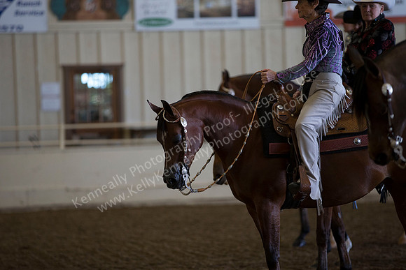 AHANC_Show18_ThursAM_0291