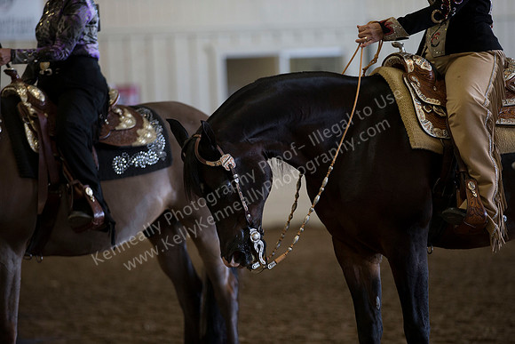 AHANC_Show18_ThursAM_0292