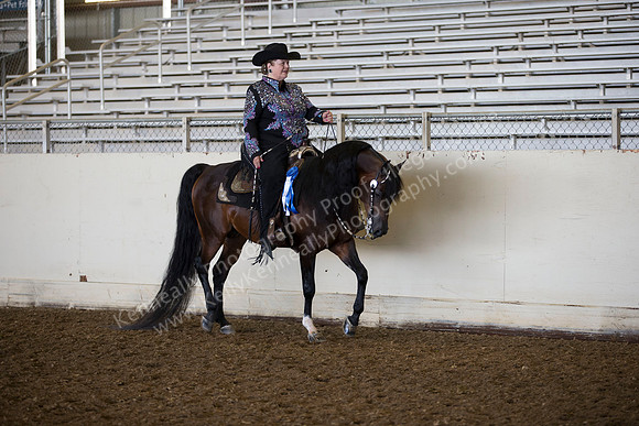 AHANC_Show18_ThursAM_0299