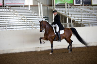 AHANC_Show18_ThursAM_0309