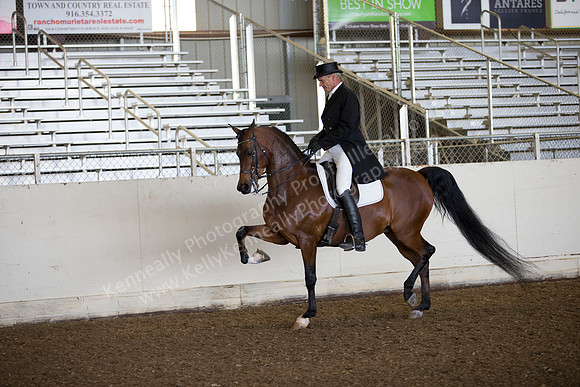 AHANC_Show18_ThursAM_0309