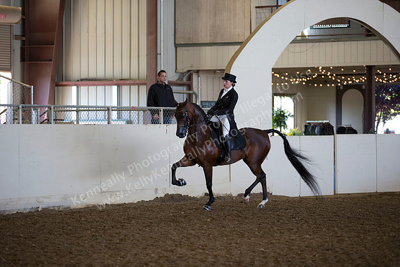 AHANC_Show18_ThursAM_0311