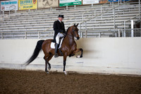 AHANC_Show18_ThursAM_0314
