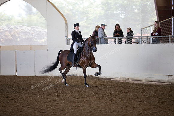 AHANC_Show18_ThursAM_0315