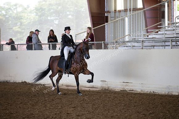 AHANC_Show18_ThursAM_0316