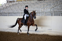 AHANC_Show18_ThursAM_0317