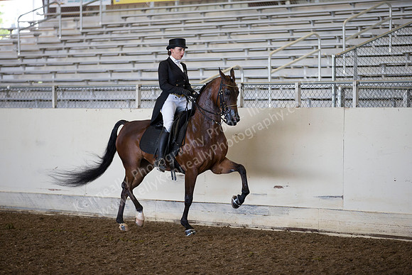AHANC_Show18_ThursAM_0317