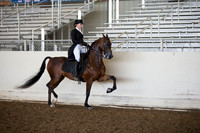 AHANC_Show18_ThursAM_0318