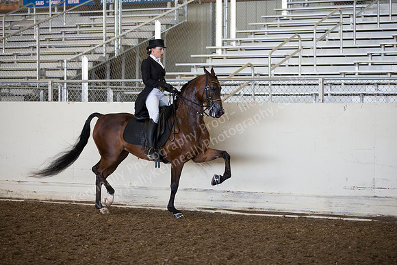 AHANC_Show18_ThursAM_0318
