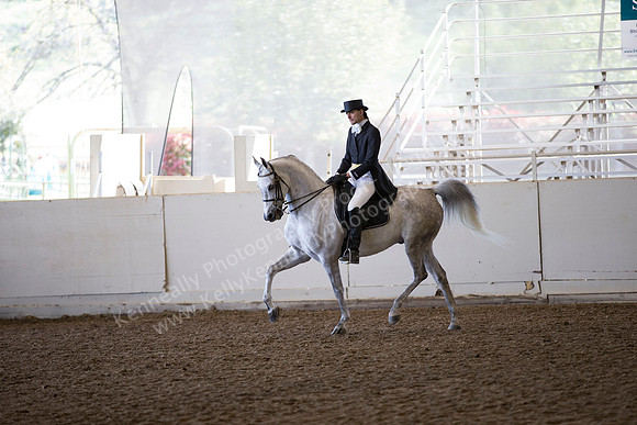 AHANC_Show18_ThursAM_0321