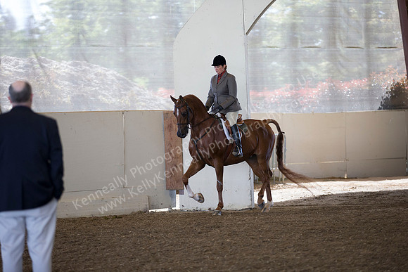 AHANC_Show18_ThursAM_0346